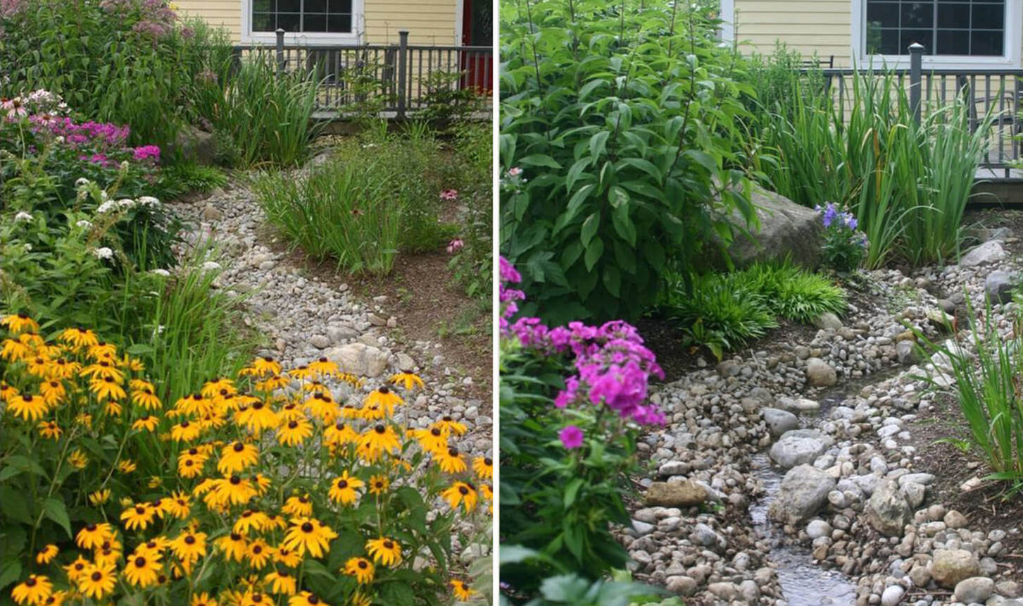 Rain Gardens Services Ecological Garden Design Natvik Design Inc