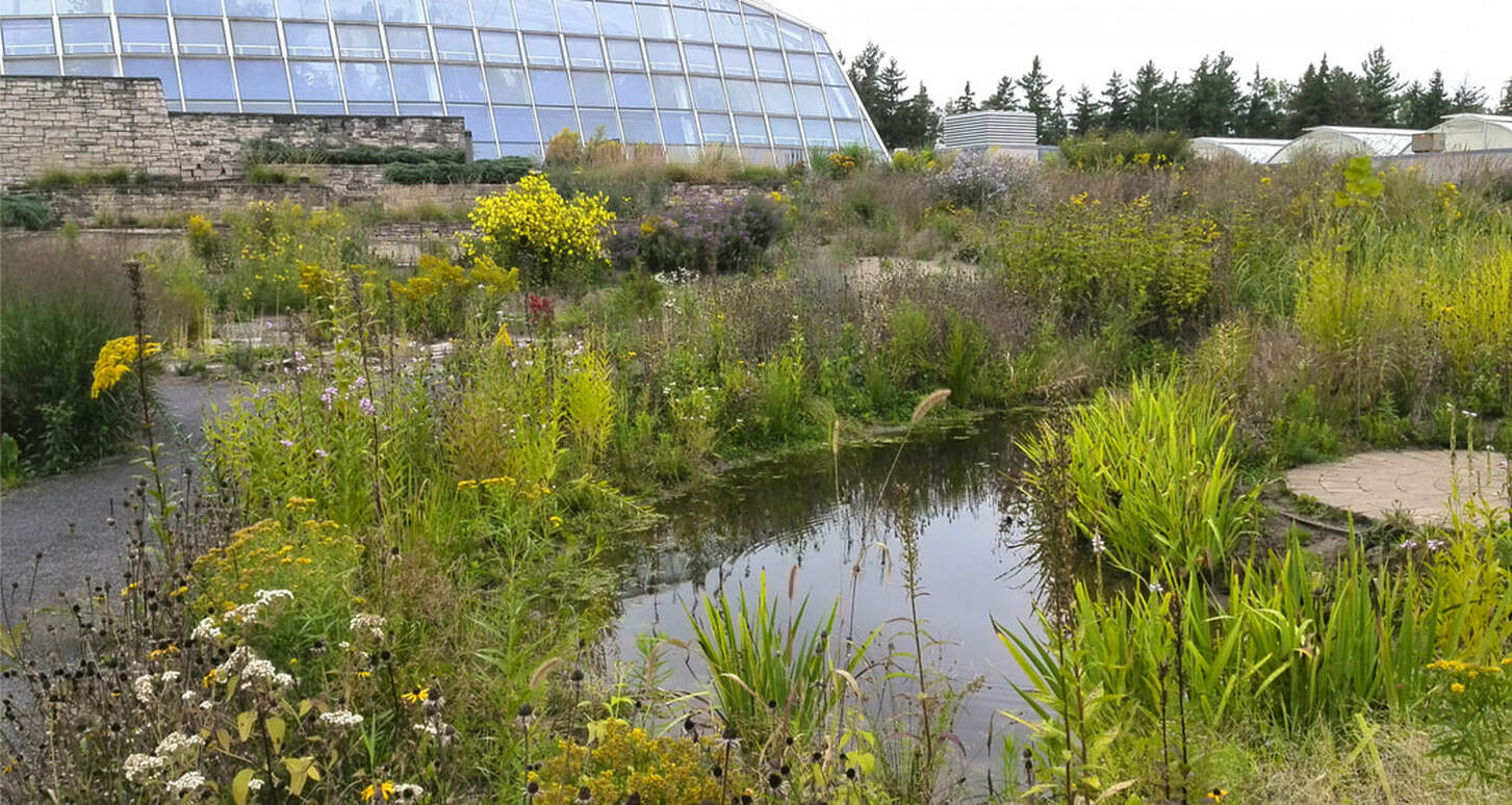 Rain Gardens Services Ecological Garden Design Natvik Design Inc. (NDI)